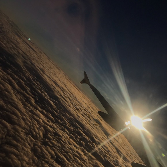 Meet your Posher, Ryanne - Picture 4 of 4